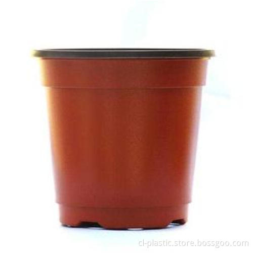Flower Pot